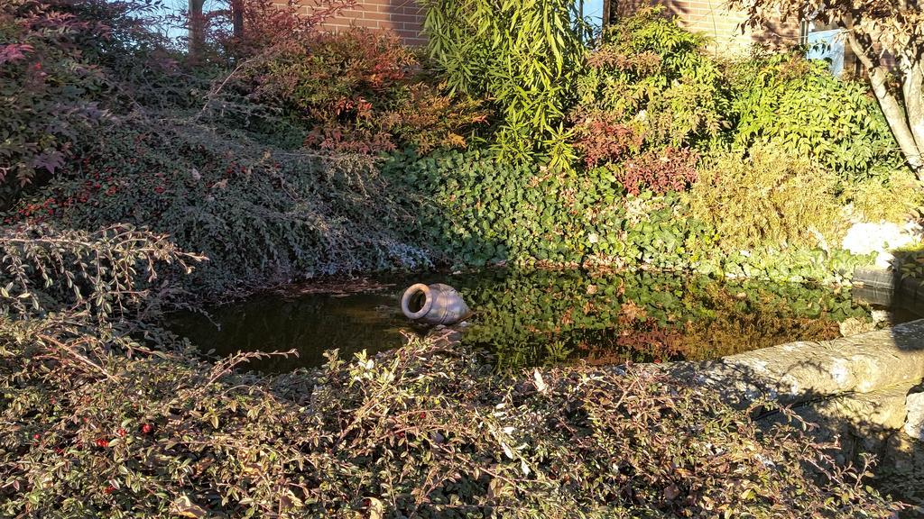 Hotel Gardenia Cermenate Zewnętrze zdjęcie